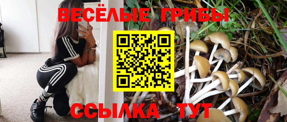 Псилоцибиновые грибы ЛСД Железногорск