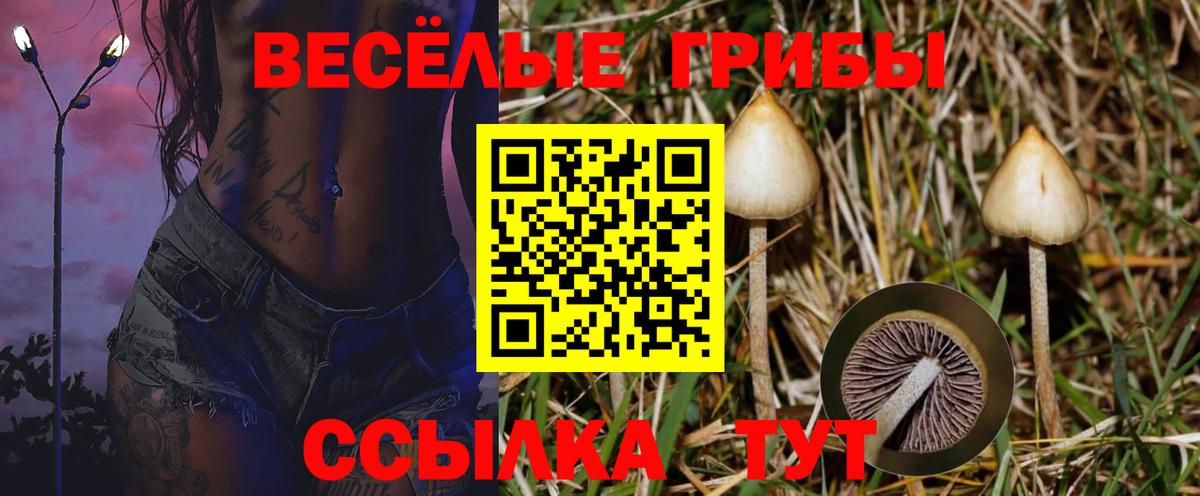 Псилоцибиновые грибы Cubensis  Вход с VPN  Галлюциногенные грибы мухоморы  закладки  Железногорск 